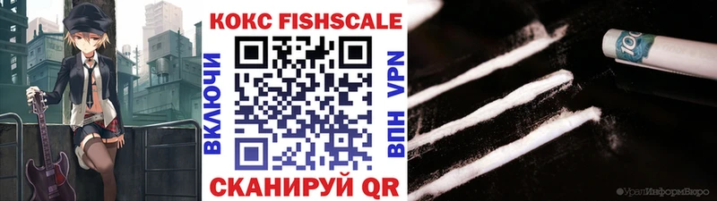 КОКАИН Fish Scale  где продают   kraken   Новый Уренгой 