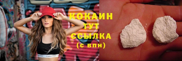 дурь Новодвинск
