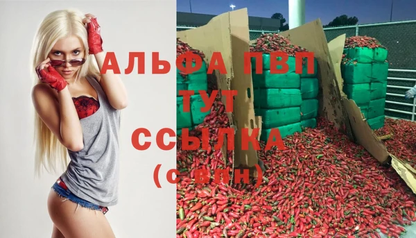 дурь Новодвинск