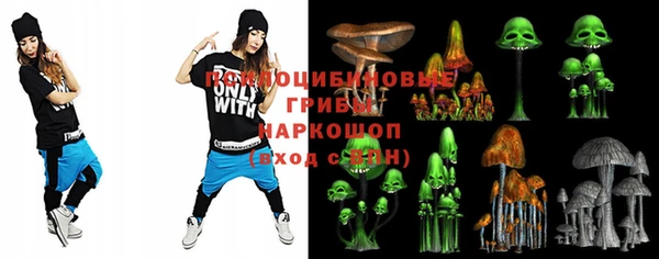 дурь Новодвинск